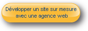 D&eacute;velopper un site sur mesure avec une agence web