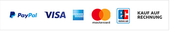 Billede af Paypal, Visa, American Express, Mastercard og EC -logo