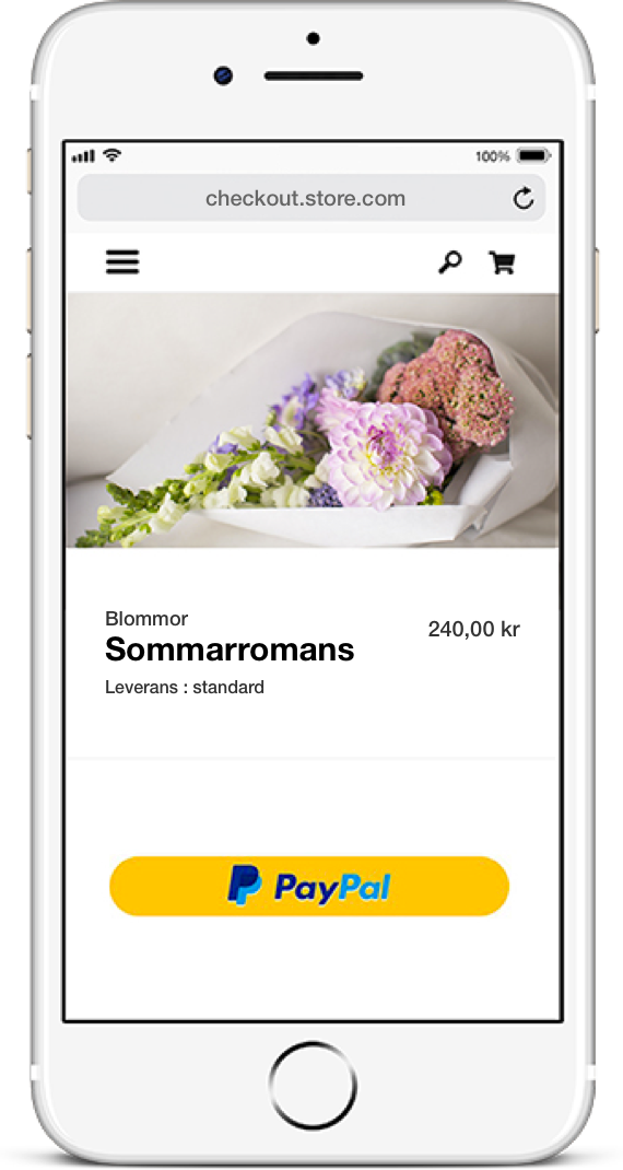 Ta Ut Pengar Från Paypal