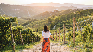 Woman walking in a picturesque vineyard.