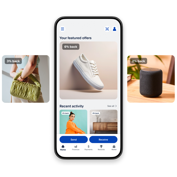 PAYPAL visual data 3