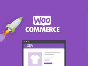 Purple square with rocketship graphic, Internet tab, and Woo Commerce logo