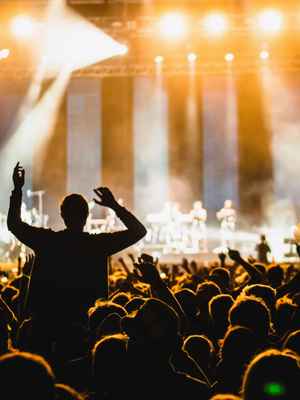 A photo of a concert shows the crowd and how PayPal can help with event payment processing.