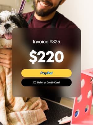 Person washing dog with overlay of invoice #325 for $220 with PayPal button and Debit or Credit Card button