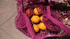 Pink bag of oranges