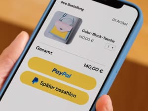 Phone screen showing yellow PayPal button above yellow Pay Later button at checkout