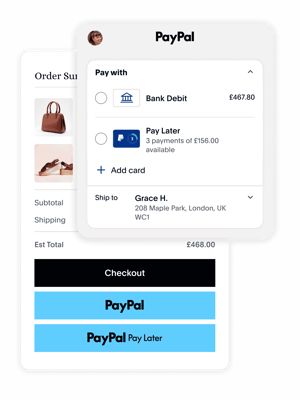 PayPal checkout options shown paying for a bag and shoes