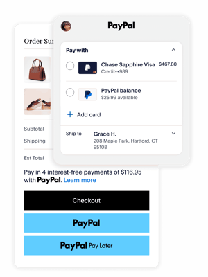 PayPal checkout options shown paying for a bag and shoes