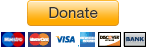  Donate Button with Credit Cards 