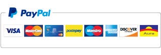 Logo PayPal carte