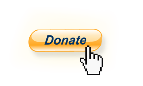 PayPal Donate Button in WordPress