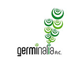 germinalia