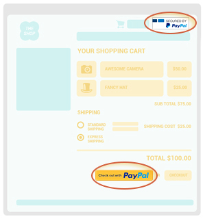 Image of a website with Paypal logo and checkout with Paypal button highlighted
